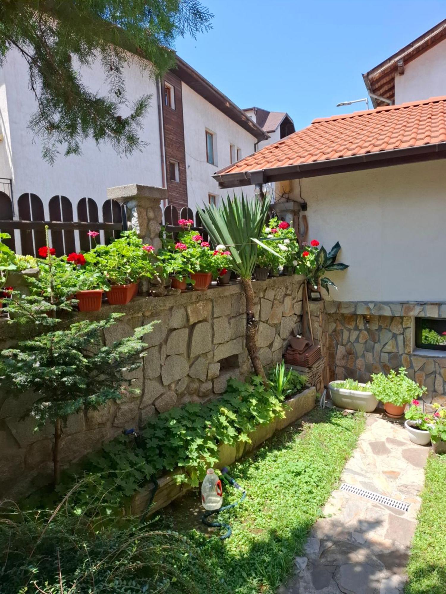 Guest House Skabrin Bansko Exteriér fotografie